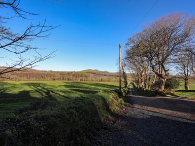 A country road lined with leafless trees next to green fields under a clear blue sky at Bryn Moelyn Cottage in Yr Efail near Morfa Nefyn