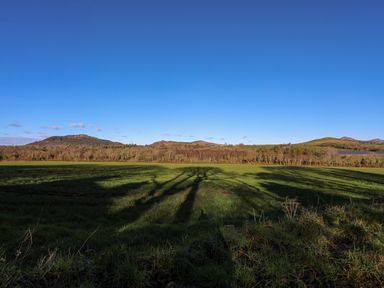 A grassy field with long shadows of trees and hills in the background at Bryn Moelyn Cottage in Yr Efail near Morfa Nefyn