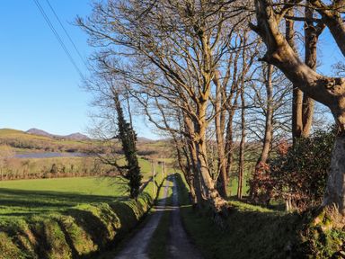 A rural dirt road lined with trees and green fields at Bryn Moelyn Cottage in Yr Efail near Morfa Nefyn