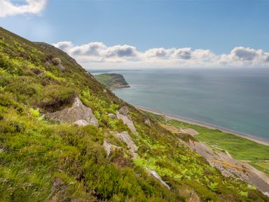 A hillside with rocks and greenery overlooking a beach and the ocean at Bryn Moelyn Cottage in Yr Efail near Morfa Nefyn