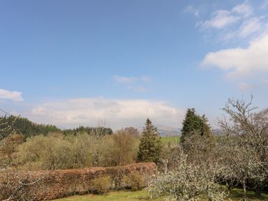 A landscape with trees and hedges under a blue sky at Gilfachwydd in Islawrdref near Dolgellau