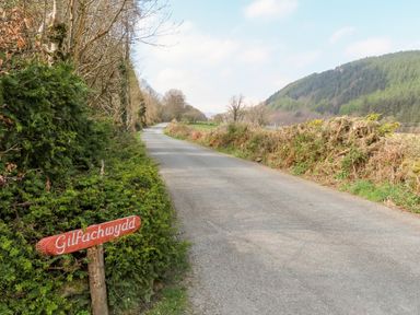 A country road with bushes and trees on the side at Gilfachwydd Islawrdref near Dolgellau