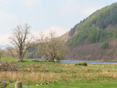 A grassy field with leafless trees near a river and forested hills at Gilfachwydd Islawrdref near Dolgellau