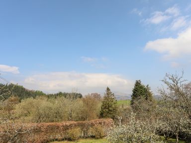 A view of trees and hedges under a blue sky at Gilfachwydd Islawrdref near Dolgellau