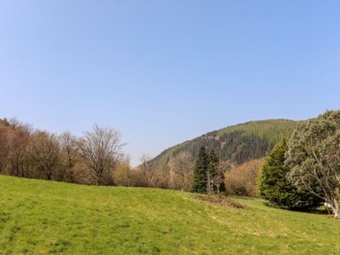 A grassy field with trees and a forested hill under a clear sky at Gilfachwydd Islawrdref near Dolgellau