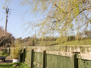 A garden with a wooden fence plants and a tree with branches hanging over the fence at Farriers Retreat in Budleigh Salterton