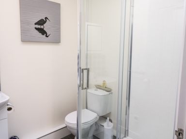 A bathroom with a toilet, shower enclosure, sink, and a bird picture on the wall at Farriers Retreat in Budleigh Salterton