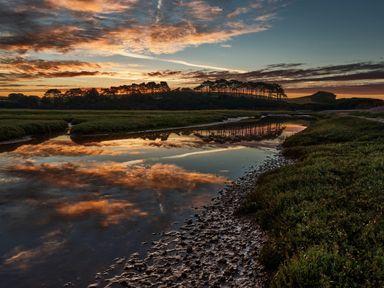 A river with mud and grass banks reflecting a sunset sky and trees at Farriers Retreat in Budleigh Salterton