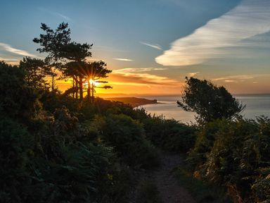 A coastal landscape with trees bushes and a dirt path at sunset at Farriers Retreat in Budleigh Salterton