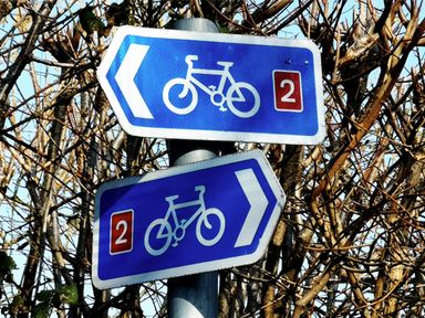 Two blue bicycle route signs pointing left and right with number 2 on a metal pole in front of leafless trees at Farriers Retreat in Budleigh Salterton