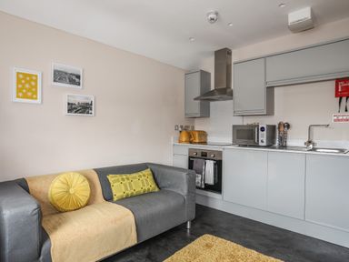 A kitchen and living area with a grey sofa with yellow cushions and a kitchen with grey cabinets and appliances at Cwm Gwyrfai in Caernarfon