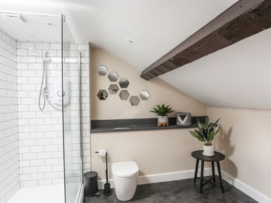 A bathroom with a shower, toilet, hexagonal mirrors, plants on a shelf and stool with a dark wooden beam on the ceiling at Moel Tryfan in Caernarfon