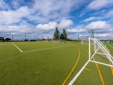 An outdoor artificial turf sports field with multiple soccer goals and goal nets surrounded by netting and trees at Ridge's Retreat No 7 Kigbeare Lodges Ashbury Resort near Fowley Cross Sourton Down and Okehampton
