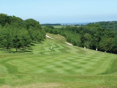 A golf course green with a flag and trees on the side at Ridge's Retreat No 7 Kigbeare Lodges Ashbury Resort near Fowley Cross Sourton Down and Okehampton