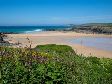 A beach with water, rocks, and flowers at Trelowen St Issey near Padstow