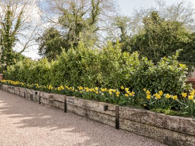 A garden bed with yellow flowers and green shrubs along a gravel pathway at Little Lugg in Cross Keys near Hereford