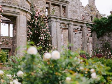 A stone ruin with climbing flowers and green plants at The Tower in Kirklinton near Longtown