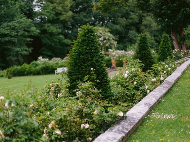 A garden with trimmed bushes flowers and a stone border at The Tower in Kirklinton near Longtown