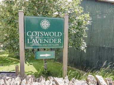 A green sign for Cotswold Lavender growers and distillers with an arrow on a post beside a corrugated metal building and trees at Blossom Cottage in Broadway