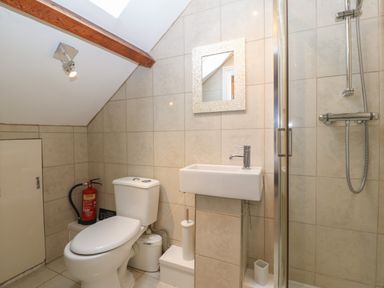 A bathroom with a toilet sink mirror and shower at Apartment 2 Gorwel Glas in Llanbedrog