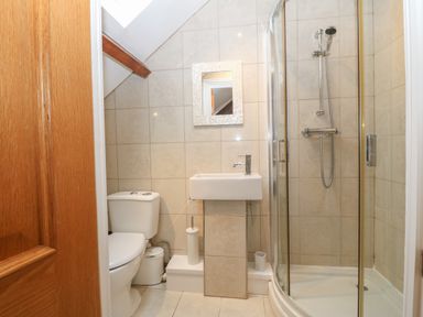 A bathroom with a toilet sink mirror and a shower enclosure at Apartment 2 Gorwel Glas in Llanbedrog