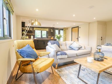 A living area with a yellow armchair and a white sofa with blue cushions a wooden coffee table and kitchen in the background at The Cabin at Evelyns Retreat in Glyndyfrdwy