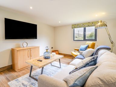 A living room with a sofa chairs coffee table TV and cabinet at The Cabin at Evelyns Retreat in Glyndyfrdwy