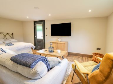 A living area with a bed sofa coffee table wall mounted television and yellow armchair at The Cabin at Evelyns Retreat in Glyndyfrdwy