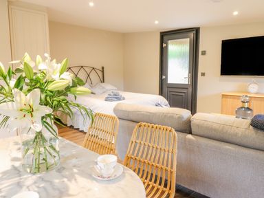 A room with a bed near a door a grey sofa a TV on the wall and flowers on a table at The Cabin at Evelyns Retreat in Glyndyfrdwy