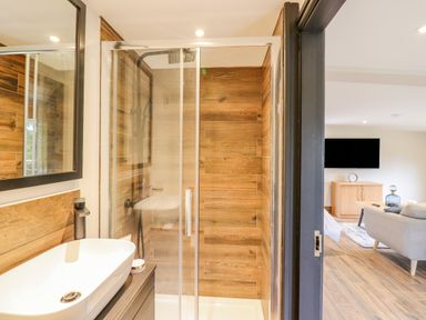 A bathroom with a shower and sink beside a living room with a television at The Cabin at Evelyns Retreat in Glyndyfrdwy