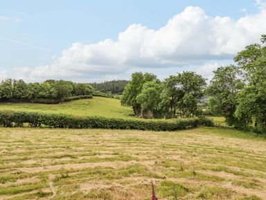 A grassy field with trees and hedges under a blue sky with clouds at The Cabin at Evelyns Retreat in Glyndyfrdwy