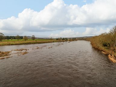 A river flowing through a rural landscape with fields and trees at Bramwell House in Corbridge