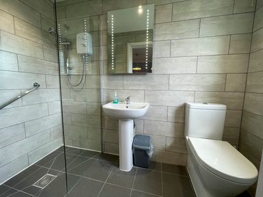A bathroom with a toilet sink mirror hand soap trash bin and a walk in shower at The Wheel @ Canllefaes in Penparc near Cardigan
