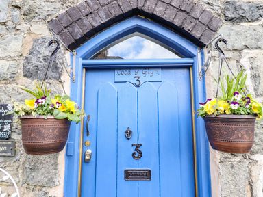 A blue door with the number 3 and flower pots hanging on both sides at Coed Y Glyn in Llanuwchllyn near Bala