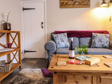 A living room with a gray sofa with animal print cushions and a wooden coffee table with a wine bottle and two glasses at Coed Y Glyn in Llanuwchllyn near Bala