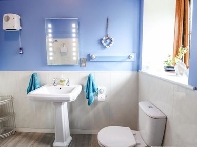 A bathroom with a pedestal sink towels toilet window with plants and a mirror at Coed Y Glyn in Llanuwchllyn near Bala
