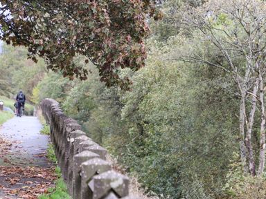 A person riding a bicycle on a path with stone railing and trees with fallen leaves