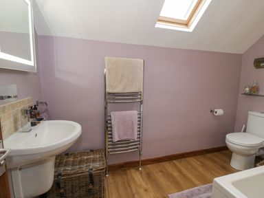 A bathroom with a sink a wicker basket a towel rack toilet and skylight at Pennant Tigi Uchaf in Dinas Mawddwy