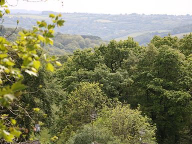 A view of dense green trees and rolling hills in the distance at Hillside in Gunnislake