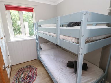 A small bedroom with a blue bunk bed a window with a red blind and a multicolored oval rug on the floor at Pinewood in Saundersfoot