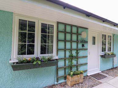 Front entrance of a house with two windows and planters under them and a white door at Honeysuckle Cottage in Crossgates