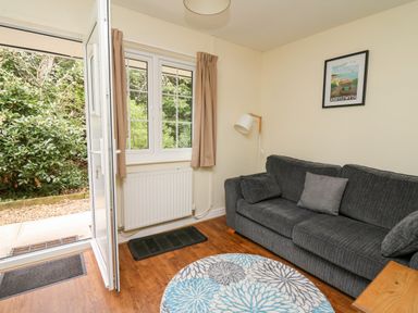 A living room with a gray sofa round patterned rug open door and a window at Primrose Cottage in Crossgates
