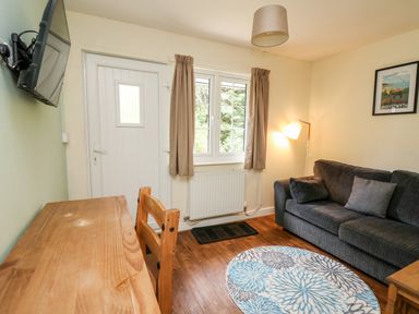 A small living room with a gray sofa round patterned rug wall-mounted tv and wooden table at Primrose Cottage in Crossgates