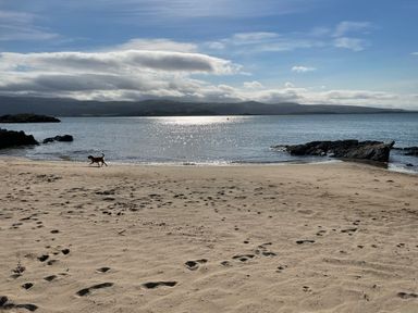 A sandy beach with a dog walking near water and rocky outcrops with hills and clouds in the background at Alltwen in Borth-y-Gest