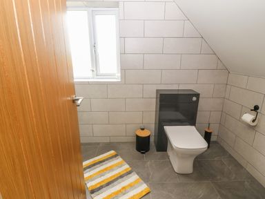 A bathroom with a toilet a striped rug a small trash bin and a toilet brush at Bryn Eglwys Bach in Penmynydd near Llanfairpwllgwyngyll