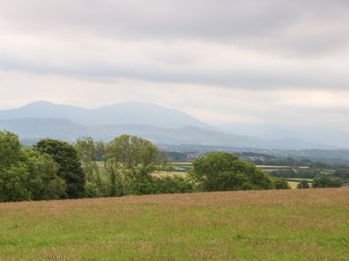A grassy field with trees and distant hills under a cloudy sky at Bryn Eglwys Bach in Penmynydd near Llanfairpwllgwyngyll