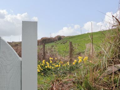 A wooden fence post with yellow flowers and grassy hill in the background at Rose Cottage in Lower Bostraze near St Just