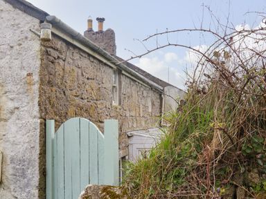 A stone cottage exterior with a light blue wooden gate and overgrown bushes at Rose Cottage in Lower Bostraze near St Just