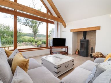 A living room with a gray sofa yellow and gray cushions a white coffee table a wood stove and a large wooden framed window showing trees and garden at The Nook in Jack's Green near Painswick