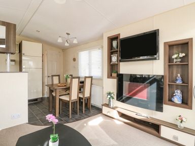 A dining area with a wooden table and chairs and a living space with a wall-mounted television and fireplace at Audrey's Lodge Foxburrow Hang in Fritton